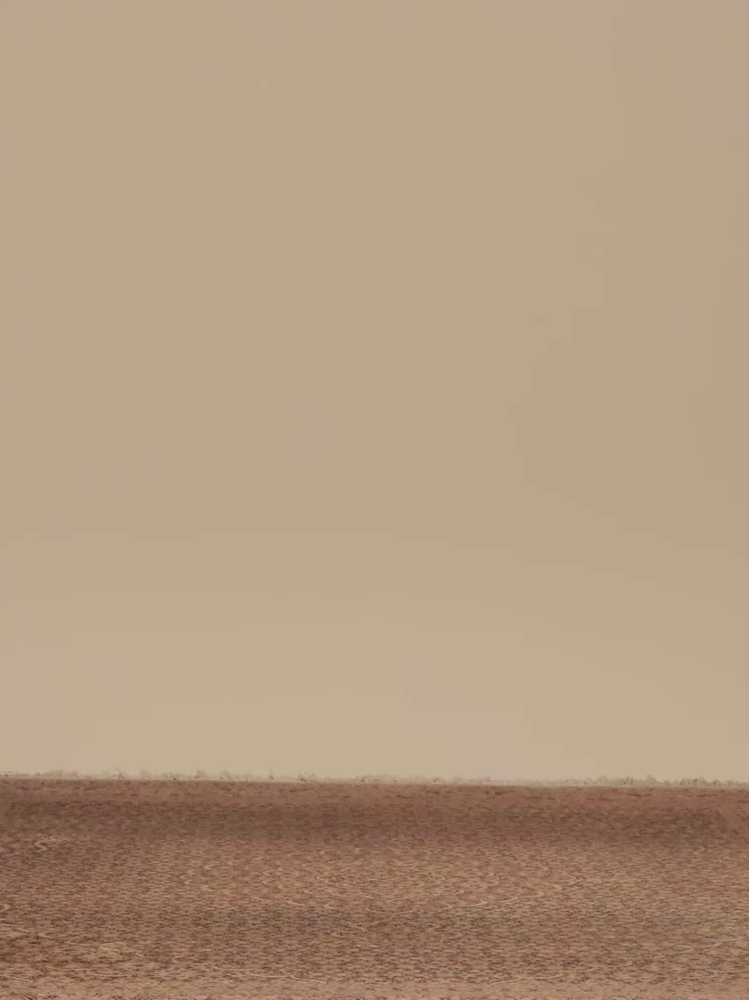 AMITY WASHED DENIM PANTS