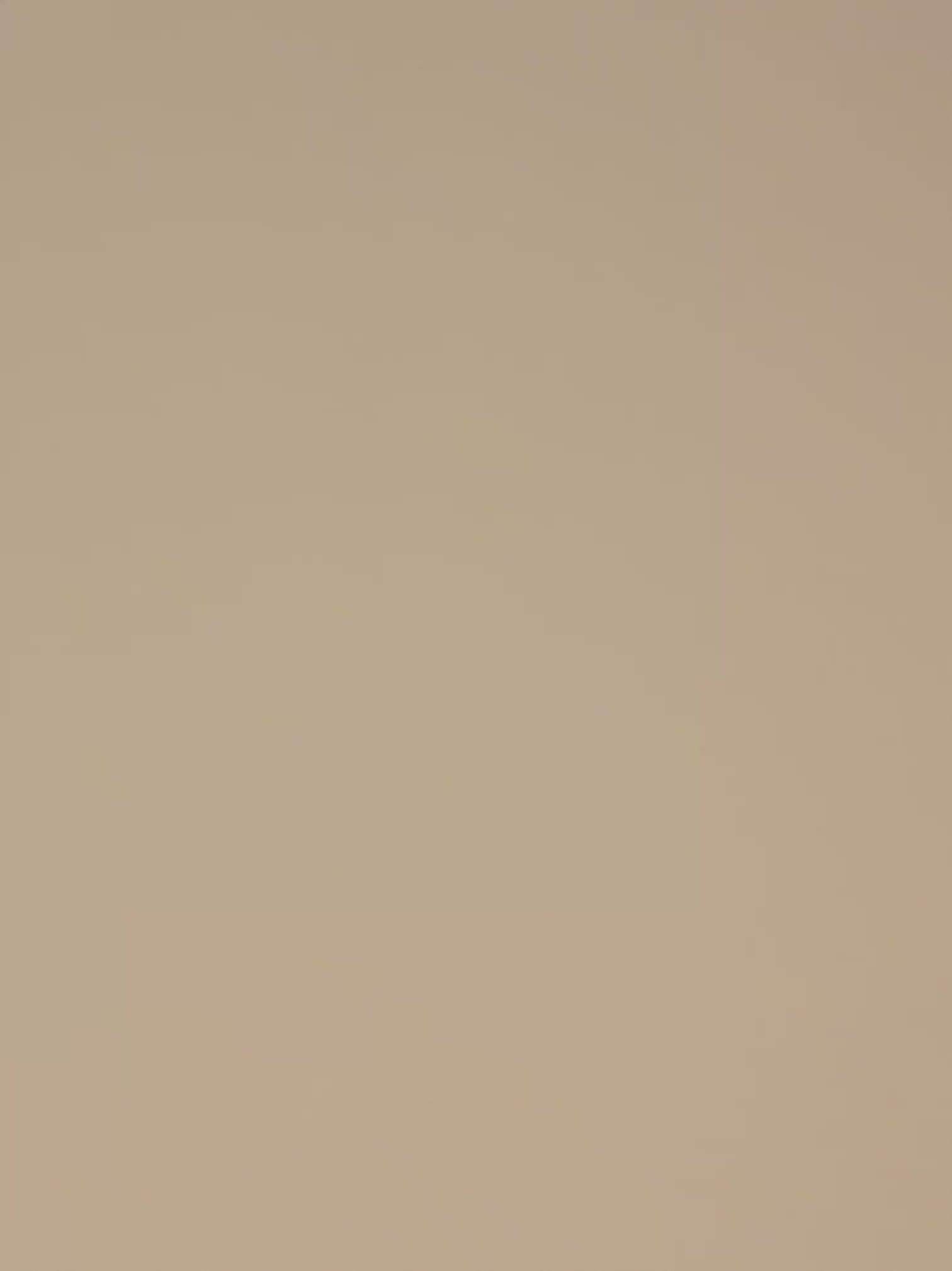 1988 MOUNTAIN SWEATSHIRT