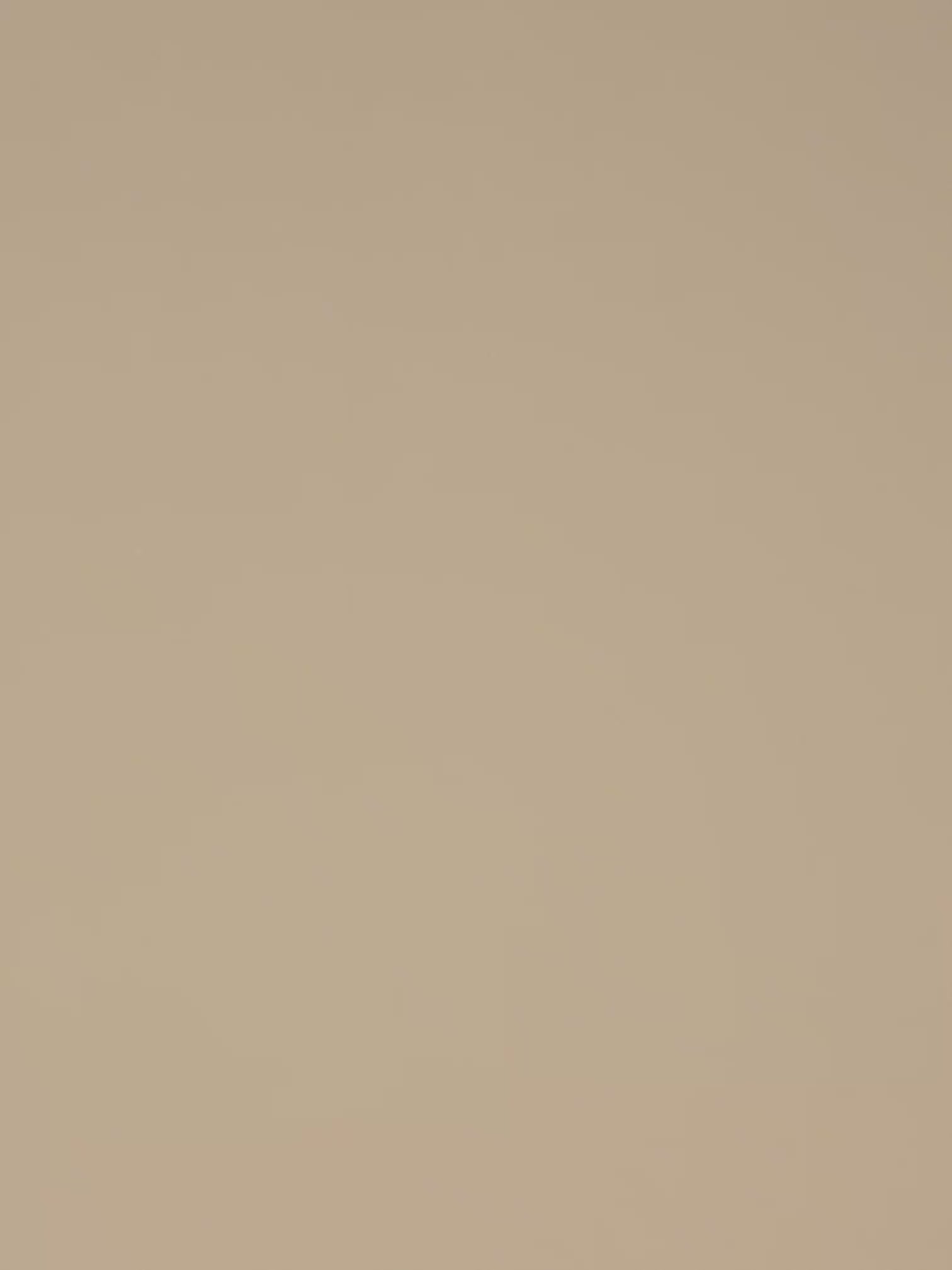 BOTANIC SWEATSHIRT NAVY