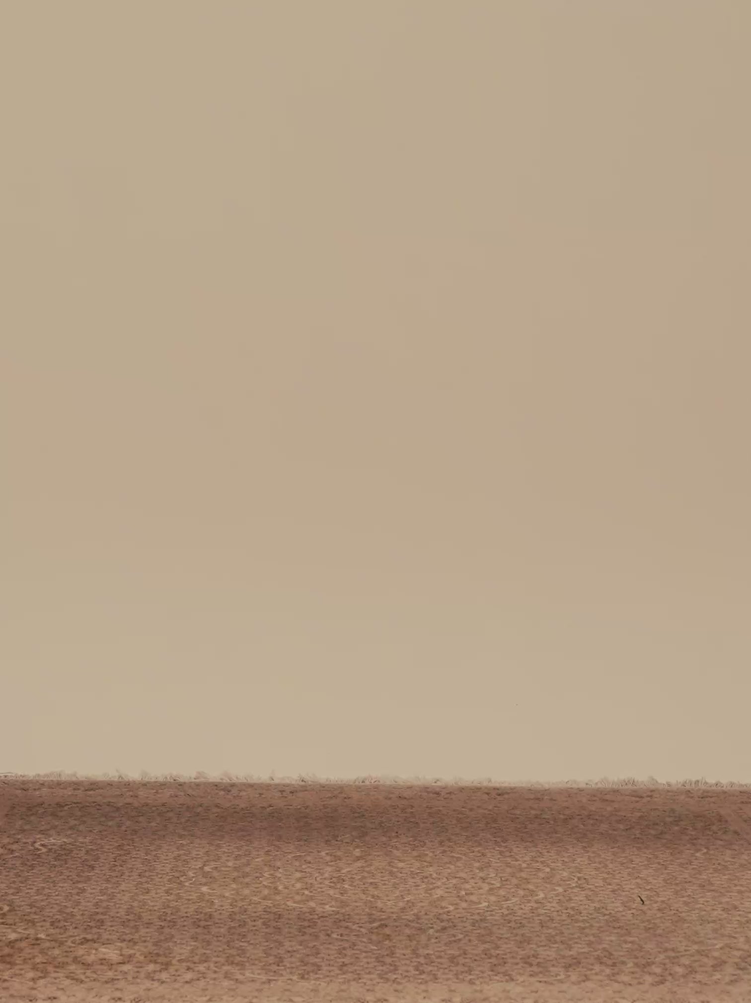 CONTRAST TRACK PANTS