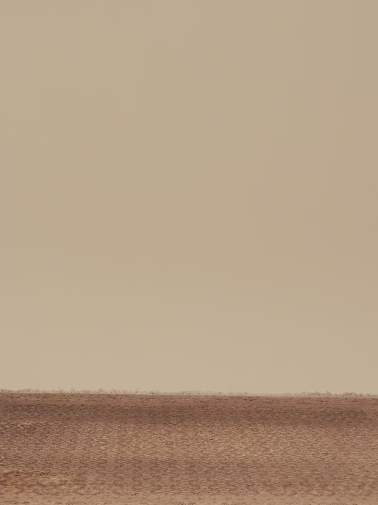 OLIVE TRACK PANTS OFF WHITE