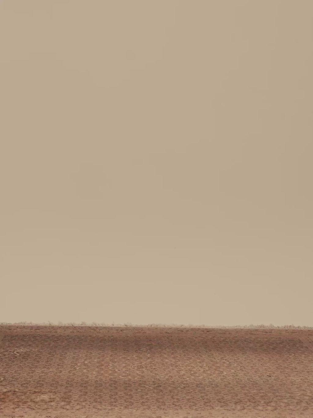 MOUNTAIN DENIM PANTS