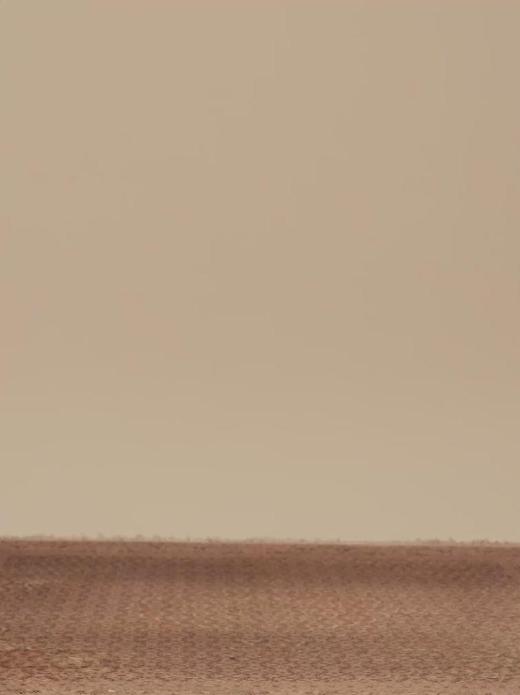 RUST DENIM PANTS